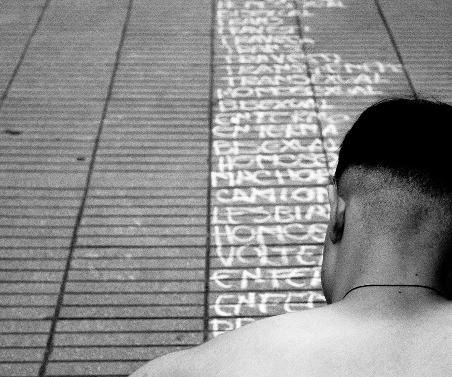 Cuerpos Naturales 2019